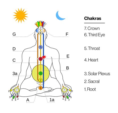 channeling energy through body.